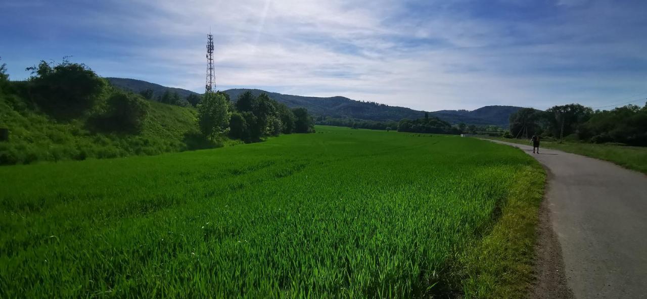 Sloneczny Blisko Jeziora I Gor *